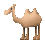 camel.gif