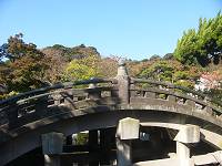 鶴岡八幡宮