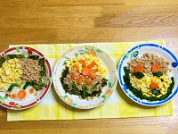 とりそぼろご飯