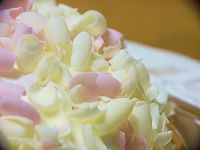 チョコレートケーキ