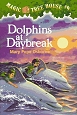 Dolphins at Daybreak