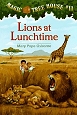 Lions at Lunchtime