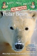 Polar Bears and the Arctic