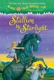 Stallion by Starlight