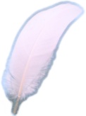 VgLRẺH